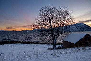 Kuzey Kutbu sonbaharında ufukta karla kaplı Norveç denizi ve dağları. Gün batımında gökyüzü renklidir. Grotavaer, Grytoya, Norveç.
