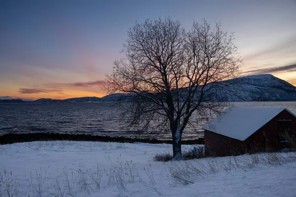Kuzey Kutbu sonbaharında ufukta karla kaplı Norveç denizi ve dağları. Gün batımında gökyüzü renklidir. Grotavaer, Grytoya, Norveç.