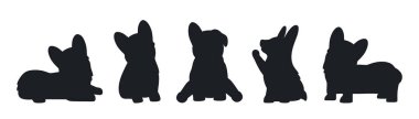 Set of black silhouettes of corgi puppies. Little pet animals in different poses. Hand drawn vector illustration isolated on white background, modern flat cartoon style.
