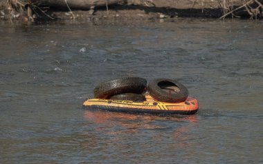 Garbage collected jena saaleputz honorary cleaning city jena thuringia