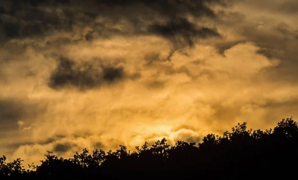 Кольори Заходу Сонця Літній Джейн Дерево Копія Простору Тюрінгія Неба — стокове фото