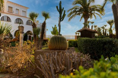 Otelin bahçesinde bulunan kaktüs ve tropikal palmiye ağaçları tatil köyündeki bulutlu mavi gökyüzüne karşıdır.