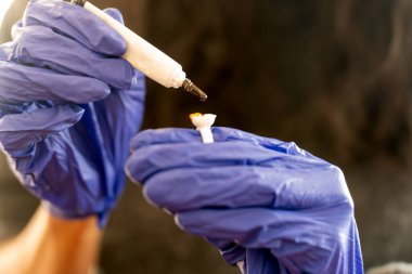 Mavi eldiven giyen ve kalıcı makyaj için dövme yüzüğüne mürekkep döken isimsiz kadın kozmetolojistin yumuşak odağı.