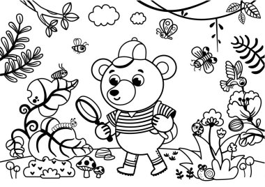 Çocuklar için boyama sayfası. Sevimli ayı karakteri büyüteçten bir bitkinin üzerindeki tırtıla bakıyor. Doğayı keşfetmek için büyüteç kullanan meraklı bir ayı. Siyah ve beyaz vektör