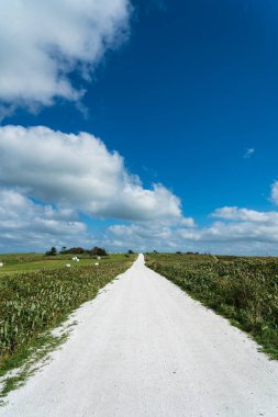 Japonya, Hokkaido 'daki Soya Hills' te White Shell Yolu.