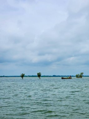 Bangladeş 'te yağmur mevsiminde suyun üzerinde yüzen ağaçlar Bangladeş' in Sunamganj kentindeki en büyük su deposunda bulunmaktadır..