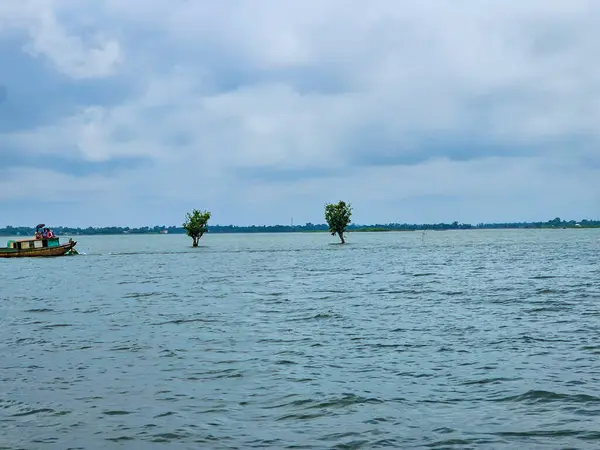 Дерева Пливуть Над Водою Під Час Дощового Сезону Бангладеш Найбільшому — стокове фото
