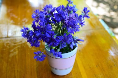 Vazoda mavi çiçek buketi, seçici odak.