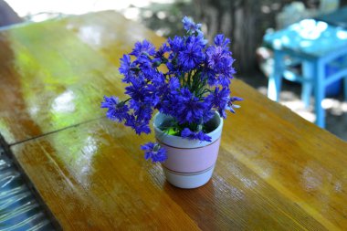 Vazoda mavi çiçek buketi, seçici odak.