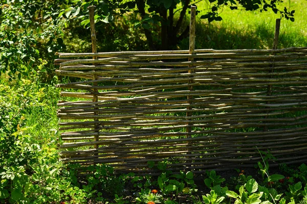 Kerti Ágakból Készült Fonott Kerítés — Stock Fotó