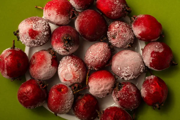 Red Berries Hawthorn Frosted Plate — Stock Photo, Image