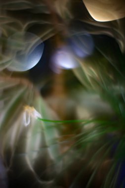 Sarı ve yeşil odağını kaybetmiş soyut ışıklar parıldıyor ve arka plan bulanıklaşıyor. Bokeh arkaplanı