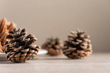 Çam kozalakları, yumuşak doğal ışık altında, yumuşak ahşap bir tahta üzerine dizilmiş, zengin dokular ve ılık sonbahar tonlarını sergiliyor.