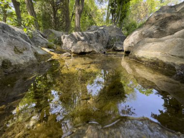 Ağaçları ve kayaları yansıtan temiz su huzurlu bir doğal ortamda sessiz bir orman bahçesinde alçak açıyla yakalanır.