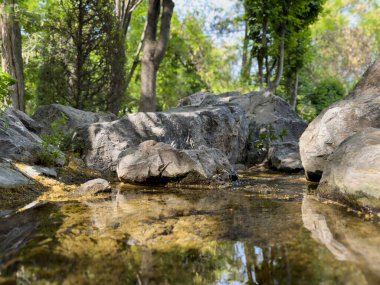Güneşli bir günde, yosun kaplı kayaların arasından akan huzurlu orman deresi. Arka plan ya da doğa temalı içerik için mükemmel sakin bir doğal sahne