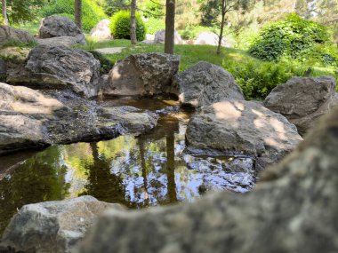 Doğal kayalar, küçük bir dere ve suya yansıyan yemyeşil bitkilerle dolu huzurlu bir Japon bahçe sahnesi. Tasarım ve refah kavramları için ideal sakin bir doğa manzarası.
