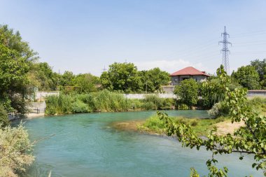 Bereketli yeşillik ve berrak mavi gökyüzünün altındaki evler tarafından çerçevelenmiş huzurlu turkuaz nehri