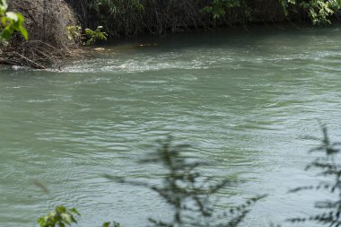 Yumuşak dalgalar ve doğal bitki örtüsüyle, yoğun yaprakların arasından akan yeşil-mavi nehir, barışçıl, dokunulmamış bir atmosfer yaratıyor.