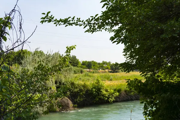 Güneşli bir günde canlı yeşil ağaçların ve çalıların arasından akan huzurlu bir nehir, sakin bir kırsal alanda sarkık dallarla çevrelenmiş.
