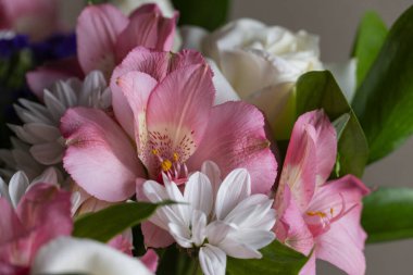 Pembe alstromerya, beyaz papatyalar ve yemyeşil güller yakın plan yumuşak bokeh arka plan, çiçek ve dekoratif temalar için mükemmel