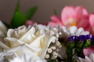 Pembe alstromerya, beyaz papatyalar ve yemyeşil güller yakın plan yumuşak bokeh arka plan, çiçek ve dekoratif temalar için mükemmel