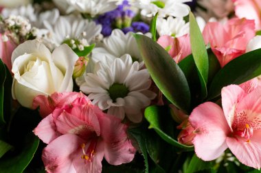 Pembe alstromerya, beyaz papatyalar ve yemyeşil güller yakın plan yumuşak bokeh arka plan, çiçek ve dekoratif temalar için mükemmel