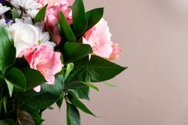 Pembe alstromerya, beyaz papatyalar ve yemyeşil güller yakın plan yumuşak bokeh arka plan, çiçek ve dekoratif temalar için mükemmel