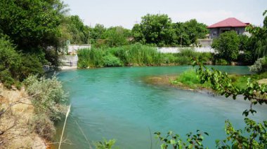 Turkuaz bir nehir, yemyeşil ağaçlar ve çimenler arasında yavaşça süzülür ve sakin doğal bir manzara yaratır.
