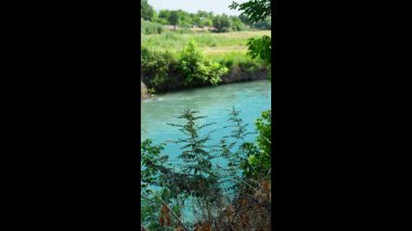 Turkuaz bir nehir, yemyeşil ağaçlar ve çimenler arasında yavaşça süzülür ve sakin doğal bir manzara yaratır.