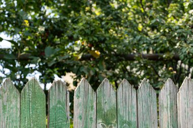 Yosun ile yaşlanmış ahşap bir çite yakın çekim, yemyeşil yapraklara karşı kurulmuş ve huzurlu bir bahçe ortamında benekli güneş ışığı