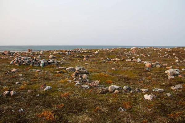 Arviat 'ın kuzeyinde Hudson Körfezi kıyısı boyunca uzanan birkaç Eskimo çadırı kalıntıları Qikiqtarjuq, Nunavut, Kanada