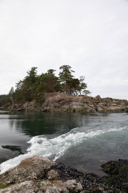 Kış Koyu Deniz Parkı 'ndan Boat Passage, Körfez Adası Deniz Parkı, Vancouver Adası, Kanada