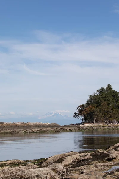 지평선에 나무가 바위에둘러 브리티시컬럼비아주 캐비지 — 스톡 사진