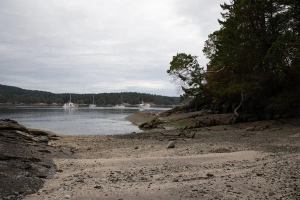 Över Vattnet Och Segelbåtar Från Stranden Slutet Viken Med Träd — Stockfoto