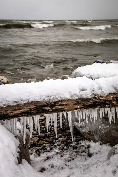 Kayalık bir sahilde dalgalı eski bir kütüğe asılı buz sarkıtları. Southampton, Ontario, Kanada