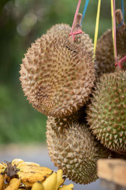 Tropikal meyveler, durian meyveleri ve muzlar, yol kenarındaki bir dükkanın tezgahında, seçici bir odak noktası.