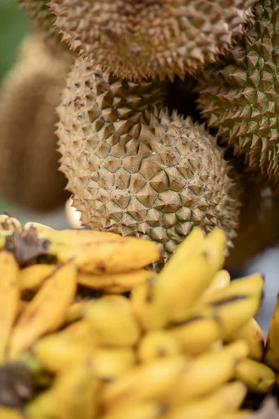 tropical fruits, durian fruits and bananas, on the counter of a roadside shop, selective focus