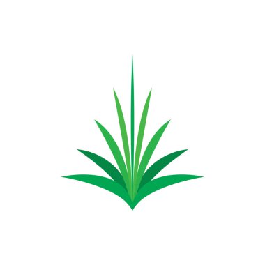 agave bitki logo ikonu vektör sembolü tasarımı