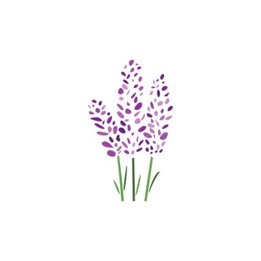Lavanta bitkisi vektör logo illüstrasyon tasarımı