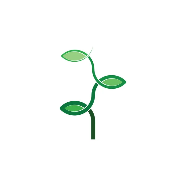 Biyolojik Bitki Organik Logo Ikonu Taşıyıcısı Bırakıyor — Stok Vektör