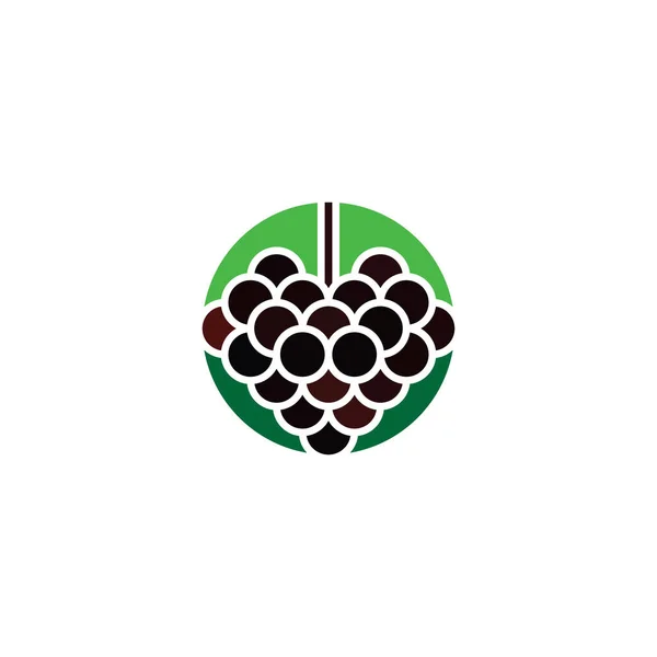 Blackberry Fruta Logo Icono Vector Símbolo Diseño — Vector de stock