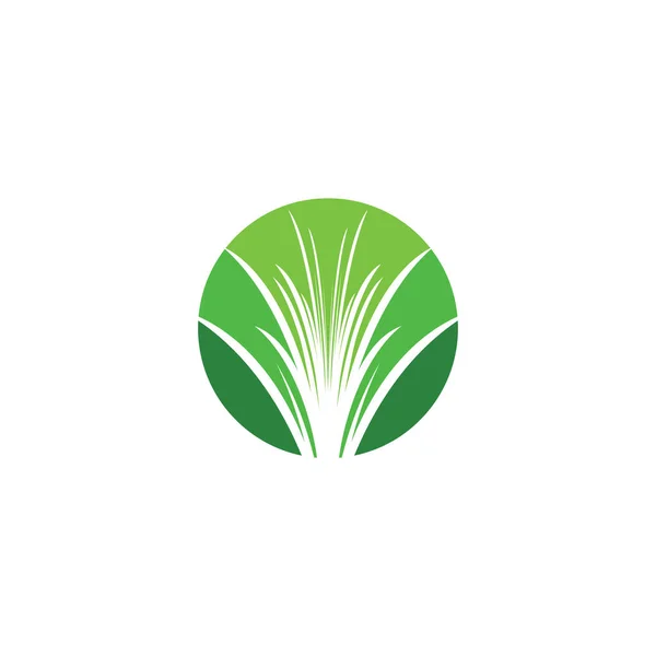 Hierba Vector Logo Círculo Icono Diseño — Vector de stock