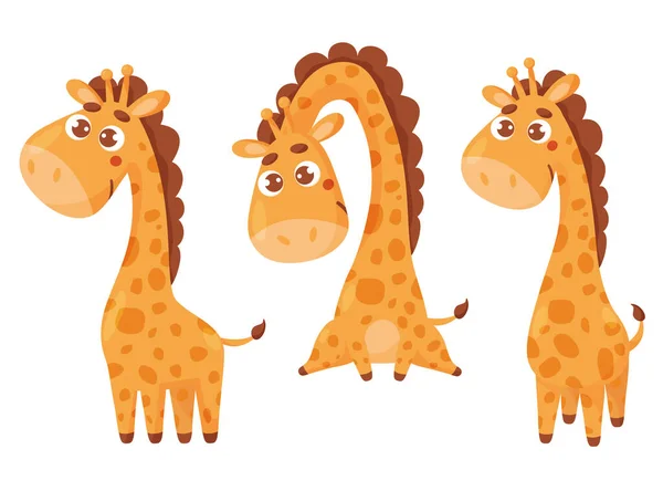 Coleção Girafa Bonito Ilustração Vetorial Animal Engraçado Isolado Estilo Dos — Vetor de Stock