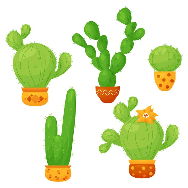 Verzameling Van Cactussen Prachtige Stekelige Tropische Groene Cactus Bloempotten Vector — Stockvector