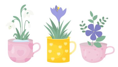 Spring time. Collection spring flowers in cups. Bouquet of white snowdrop, purple crocus and periwinkle flower. Vector illustration in flat style. Isolated first seasonal flowers