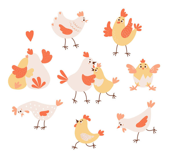 Collection domestic birds. Cute rooster, hen and little chick in eggshell. Vector illustration. Isolated farm birds for design, decor, kids collection