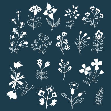 Dekoratif çiçek ve dallar koleksiyonu. Vektör çizimi. Tasarım, dekor ve süsler için izole çizilmiş karalama bitkileri