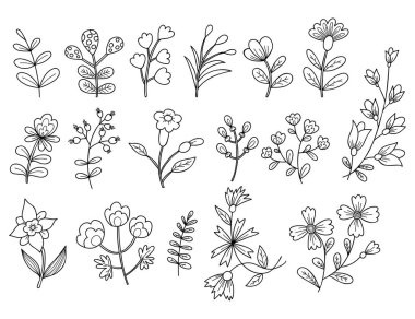 Çeşitli çiçek ve dallar toplayın. Vektör çizimi. İzole edilmiş doğrusal el karalama bitkileri