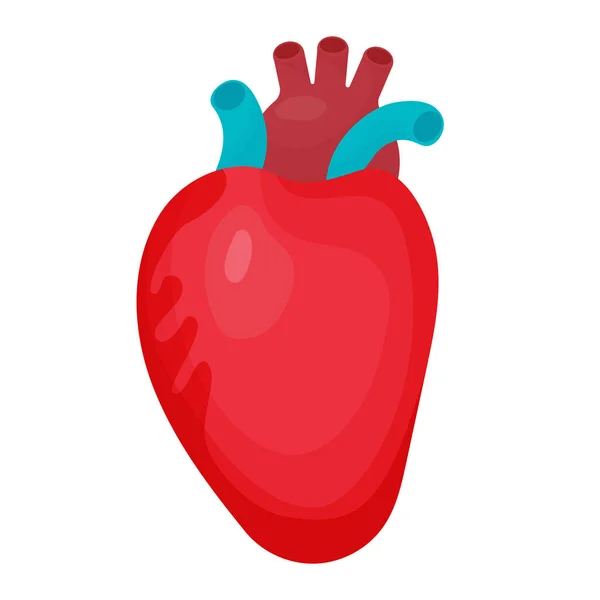 心臓の人間の心臓の器官 医療テーマのデザインと装飾のためのフラット漫画スタイルのベクトルイラスト — ストックベクタ