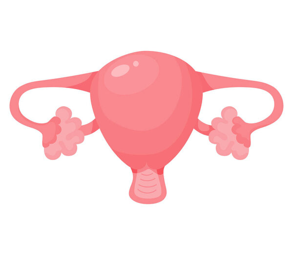 Женская матка. Репродуктивный орган человека. Векторная иллюстрация в плоском мультипликационном стиле. Анатомическая концепция дизайна и оформления медицинских тем